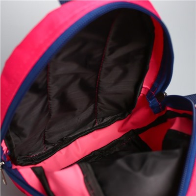 Рюкзак детский «Скай», 20 х 13 х 26 см, отдел на молнии, цвет МИКС