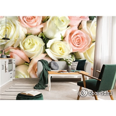 3D Фотообои «Салатово-розовые розы»