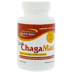 North American Herb & Spice, Сырой ChagaMax, 90 растительных капсул