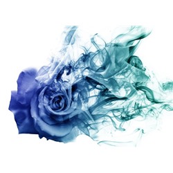 3D Фотообои «Роза в небесной дымке»
