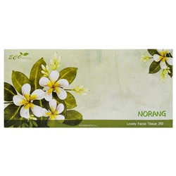 Двухслойные салфетки для лица (зеленые цветы) Norang (250 шт.), Корея