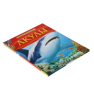 Детская энциклопедия «Акулы»