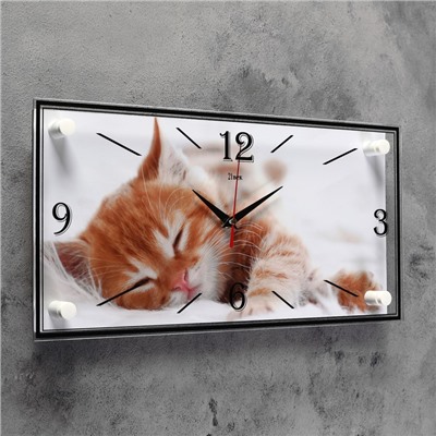 Часы настенные, серия: Животный мир, "Котик", 19х39 см