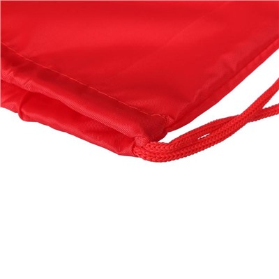 Мешок для обуви Стандарт 420 х 340 мм (+/- 1 см), цвет Красный Calligrata