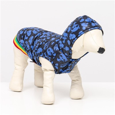 Курточка для собак "Пятнашки", размер 2 (ДС 23,ОШ 26, ОГ 33 см), синяя