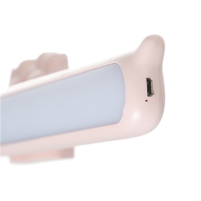 Светильник "Мяу" 4000К USB розовый 4х3х36 см