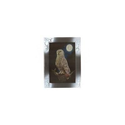 Картина Фен-Шуй Птицы 14х19см 197 Сова, узкая черно-белая рама SH