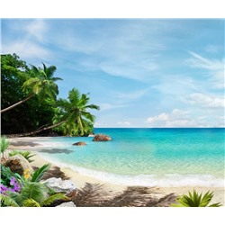 3D Фотообои «Тропический пляж»