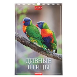 Календарь перекидной на ригеле "Дивные птицы" 2022 год, 320х480 мм