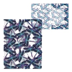Папка на резинке A4 ErichKrause "Neon Dragonflies", 5 мм, 550 мкм, с рисунком