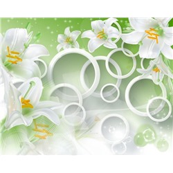 3D Фотообои «Белые лилии на салатовом фоне»