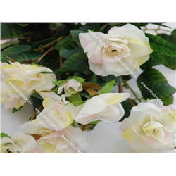 маленькие розы ROZ_MAL-15-28-13-M