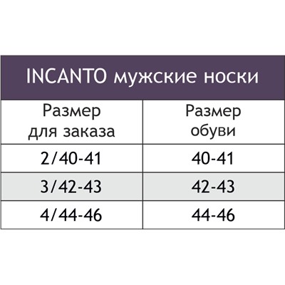 INCANTO, Носки мужские INCANTO