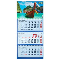 Календари квартальные трио "Ассорти, 2021 - 3" 31 х 69 см