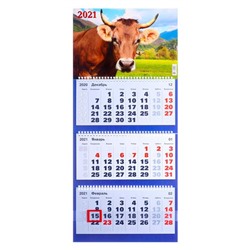 Календари квартальные трио "Ассорти, 2021 - 11" 31 х 69 см
