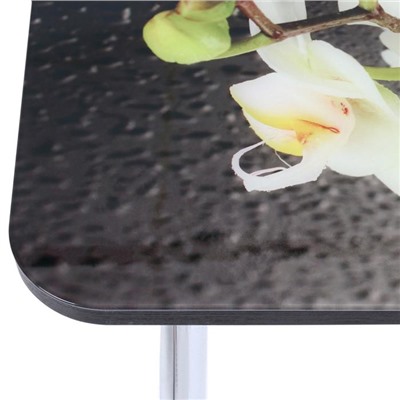 Стол прямоуголный с фп Орхидея белая 1000х600х777 стекло/подстолье чайка