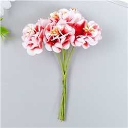 Цветы для декорирования "Пион Лоллипоп" 1 букет=6 цветов бело-красный 9 см