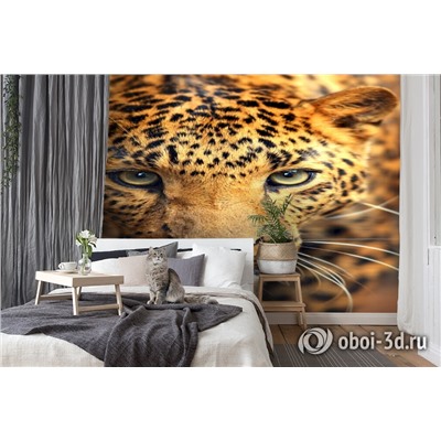 3D Фотообои  «Леопард портрет»