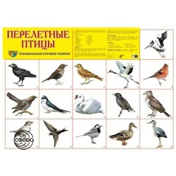 9574 Дем. плакат А2 Перелетные птицы