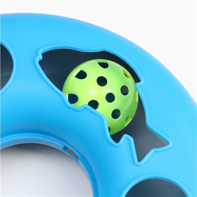 Игрушка для кошек "Загадочный круг - Рыбки", мышь на пружине и шарик, 23 х 7 см, синяя/белая   79161