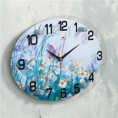 Часы настенные "Бабочка на полевых цветах", плавный ход