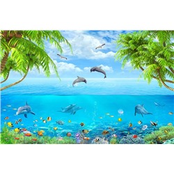 3D Фотообои «Дельфины над водой»