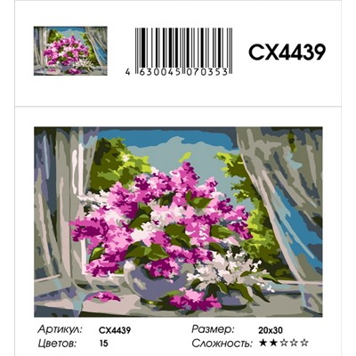 Картина по номерам 20х30 - CX4439