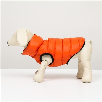 Куртка для собак двухсторонняя с воротником, ДС 28, ОШ 30, ОГ 47,  оранжевая/зелёная