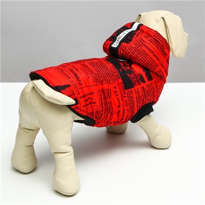 Куртка для собак "Газета", размер S (ДС 25, ОШ 28, ОГ 40 см), красно-чёрная