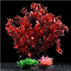 Растение искусственное аквариумное, 25 см, красно-зелёное