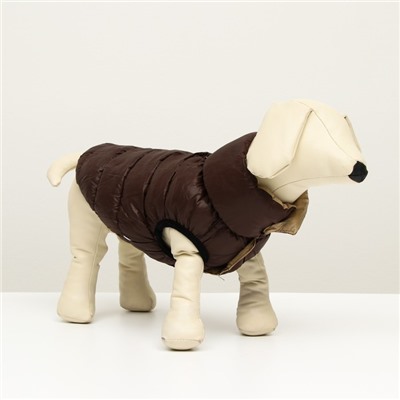 Куртка для собак двухсторонняя с воротником, ДС 24, ОШ 24, ОГ 40, бежевая/коричневая