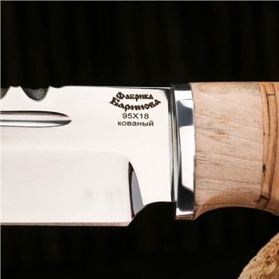 Нож охотничий "Зубр" сталь - 95х18, рукоять береста