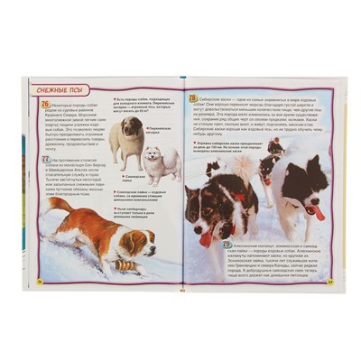 Энциклопедия для детей «Собаки и щенки»