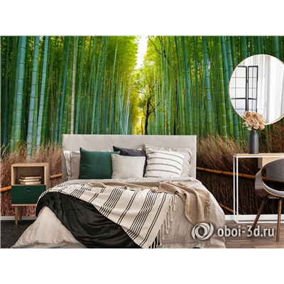 3D Фотообои «Бамбуковый лес»