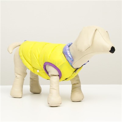 Куртка для собак двухсторонняя с утяжкой,  размер 8 (ДС 23,ОГ 30,ОШ 22),фиолетовая/жёлтая