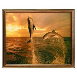 Картина "Пара дельфинов" 35х28 (38*31) см