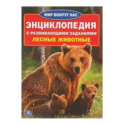 Энциклопедия с развивающими заданиями «Лесные животные»