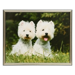 Картина "Два щенка" 40х50 см (43х53см)