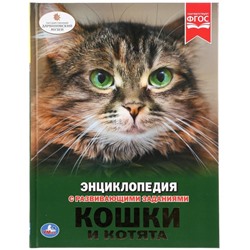 Энциклопедия А4 "Кошки и котята"
