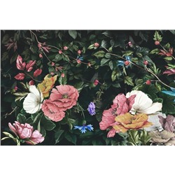 Фотообои «Колибри в цветущем саду»