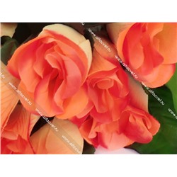букет роз с крупными листьями ROZ-9-53-5-L