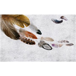 3D Фотообои «Акварельные перья»