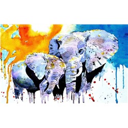 3D Фотообои «Слоны. Акварель»