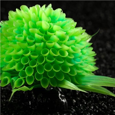 Растение шар искусственное аквариумное, светящееся, 9 см, зелёное
