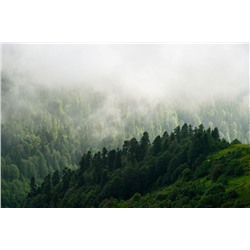 3D Фотообои «Туман над зелеными вершинами»