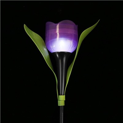 Фонарь садовый на солнечной батарее "Тюльпан фиолетовый", 29 см, d-5 см, 1 led, пластик