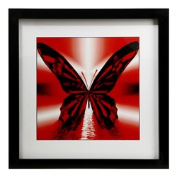 Картина "Бабочка в красном" 35х35(39х39) см