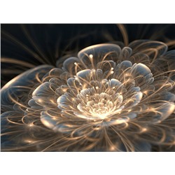 3D Фотообои «Магический цветок»