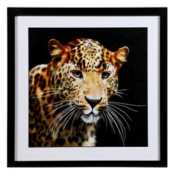 Картина "Леопард" 50х50(54х54) см