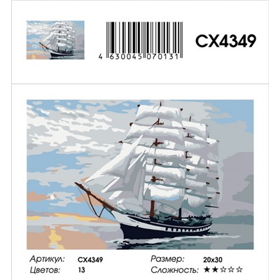 Картина по номерам 20х30 - CX4349